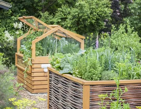 Das Hochbeet richtig bepflanzen – mit Gemüse, Kräutern oder Blumen