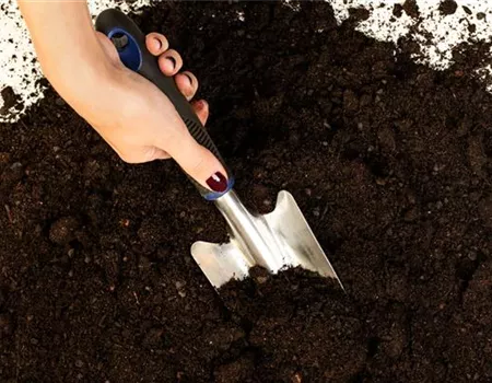 Kompost umsetzen – eine wichtige Gartenarbeit im Frühjahr