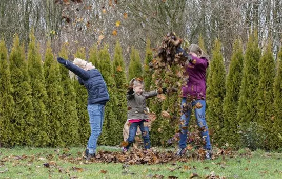 Spiel, Spaß und Sport: Der Garten als grünes Fitness-Studio